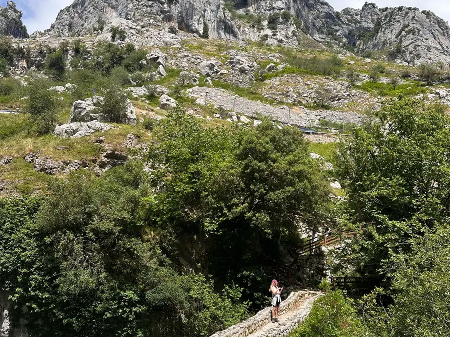 A stone path crossing a wooded ravine, with limestone peaks rising behind it.